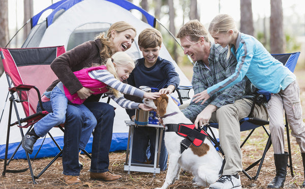 Dog Harness NO PULL Reflective Breathable & Adjustable