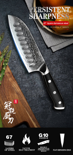 5 Inch VG10 Damascus Steel Japanese Santoku Chef's Knife